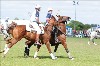 UKPA NC SAT_2644